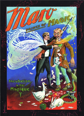 Maro Incubation a la Magique Poster