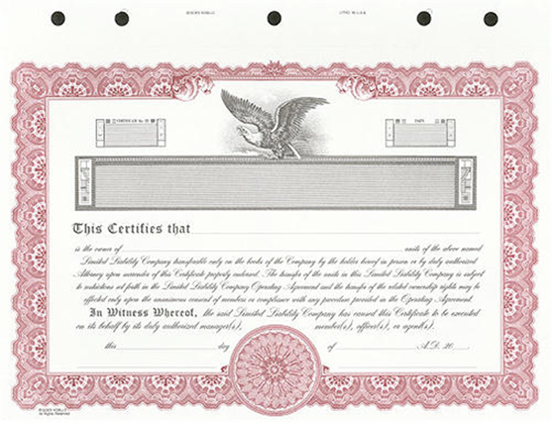 llc stock certificates illinois template