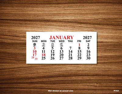 P163S Standard Date Calendar Pad w/ Adhesive Back
